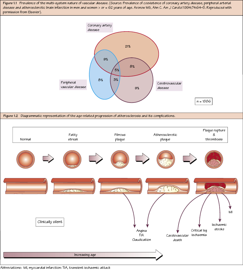 c1-fig-5001