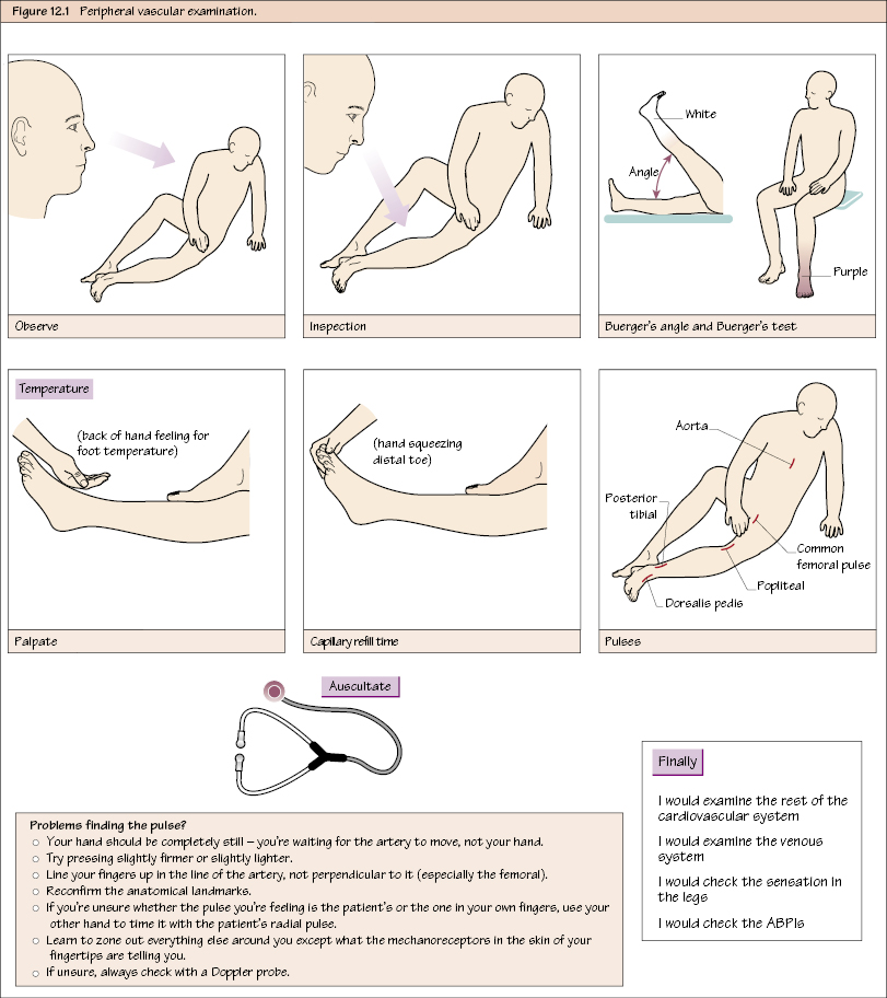 c12-fig-5001