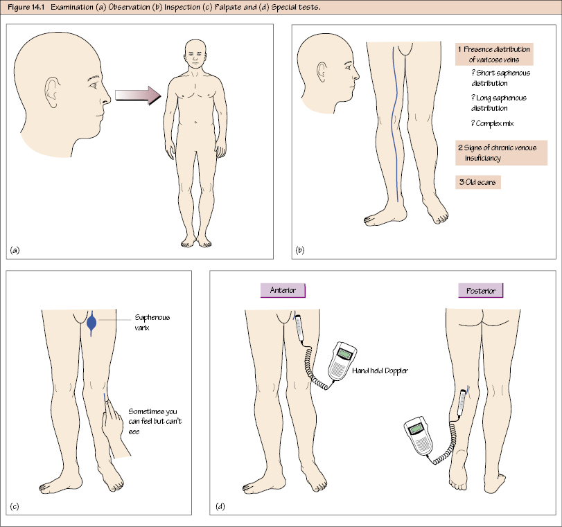 c14-fig-5001