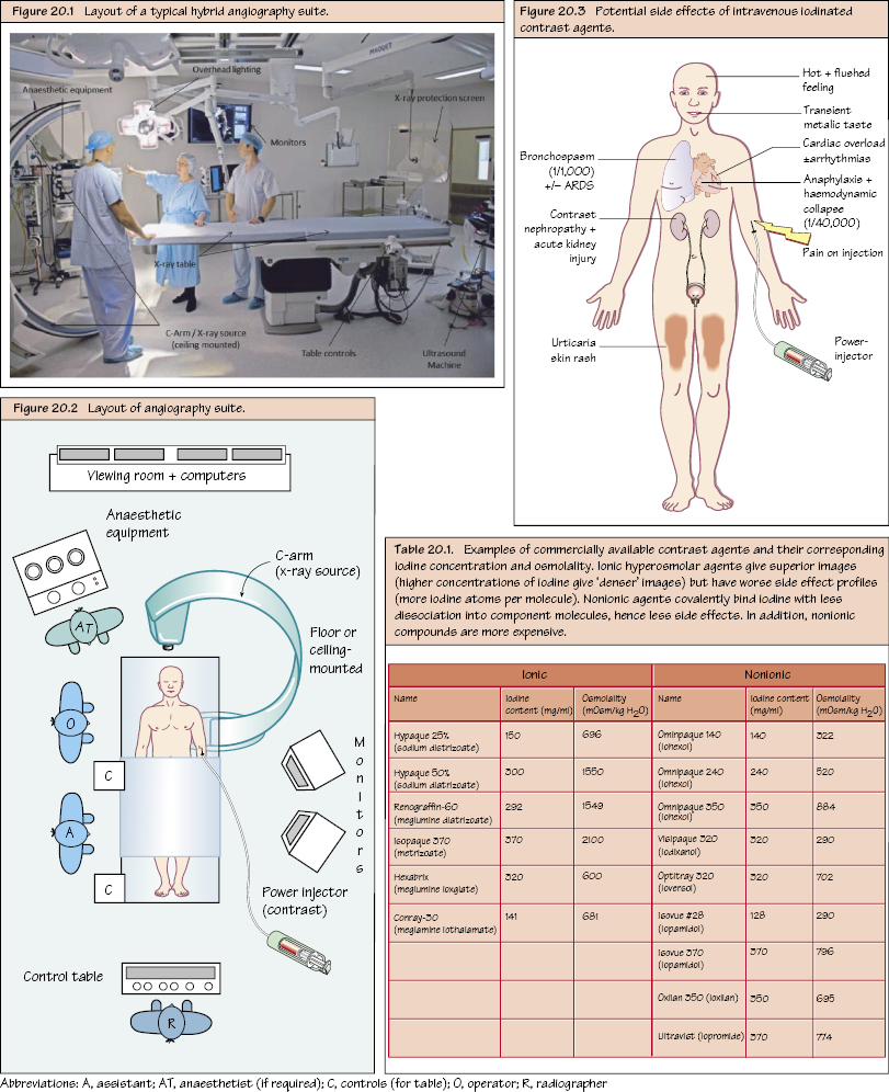 c20-fig-5001