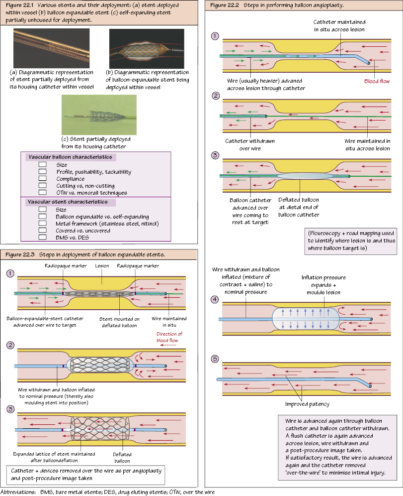 c22-fig-5001