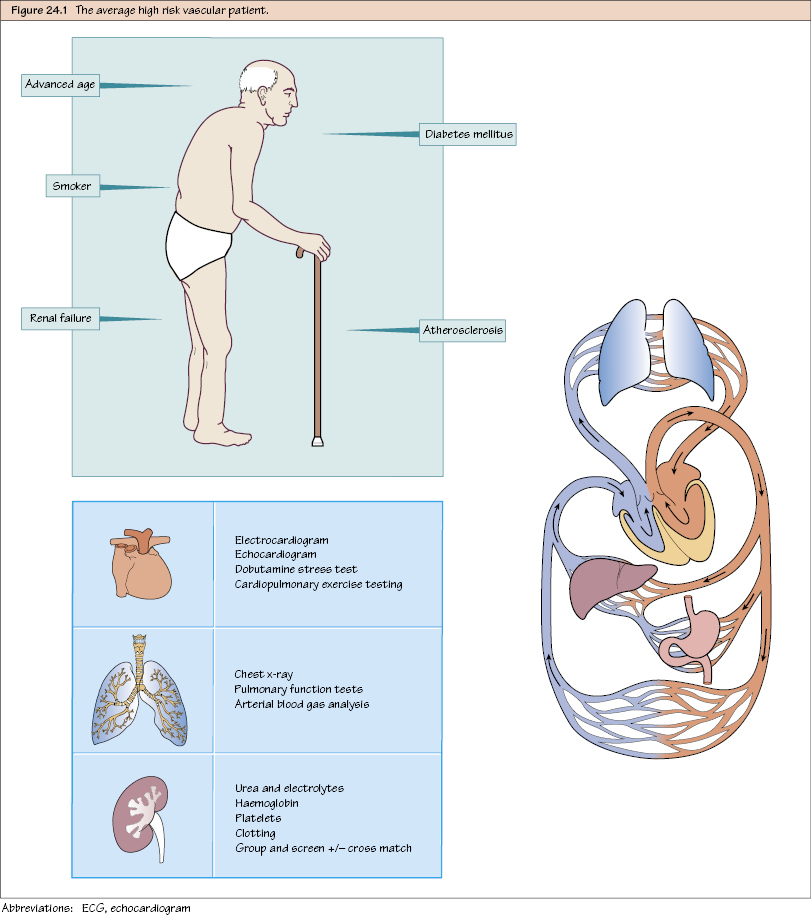 c24-fig-5001