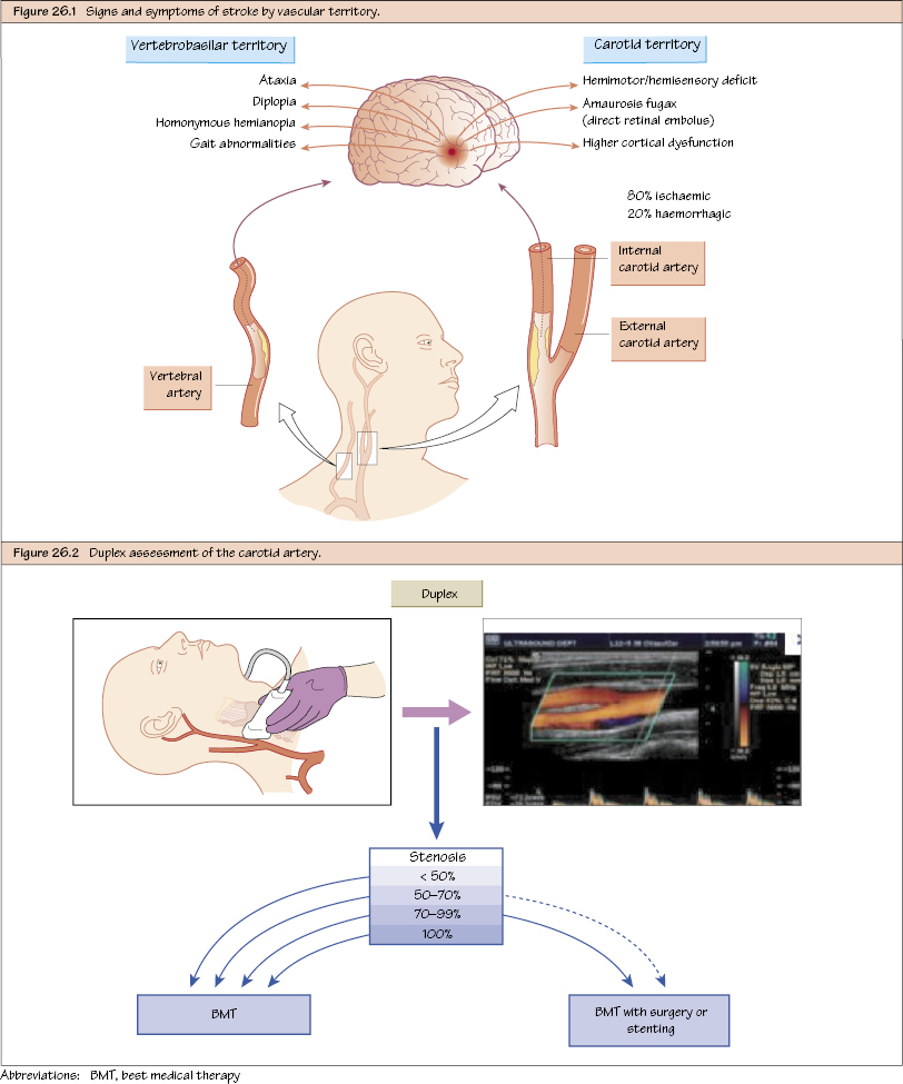 c26-fig-5001