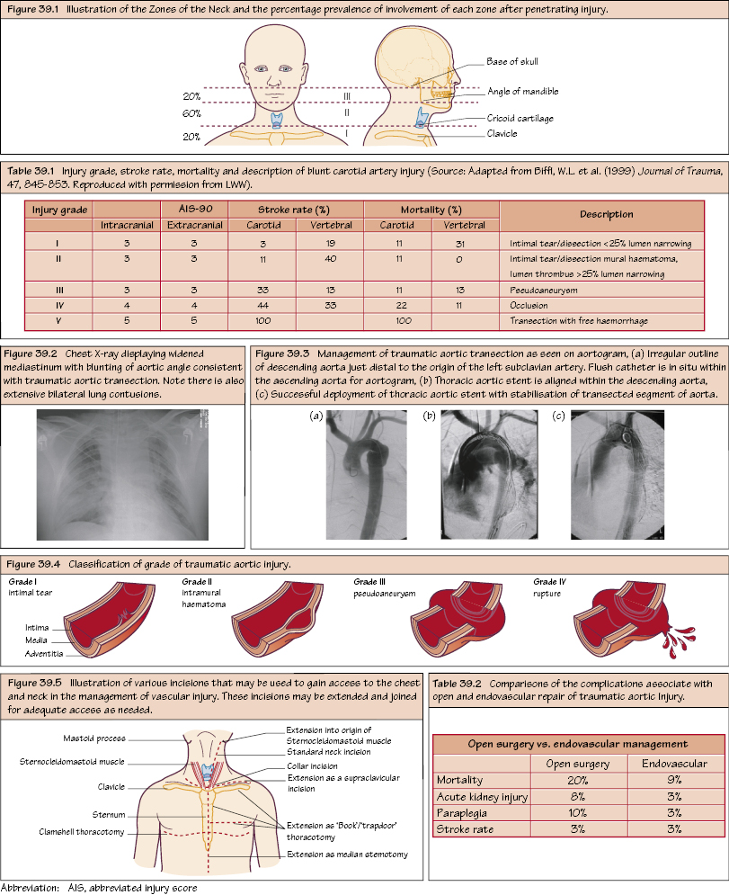 c39-fig-5001