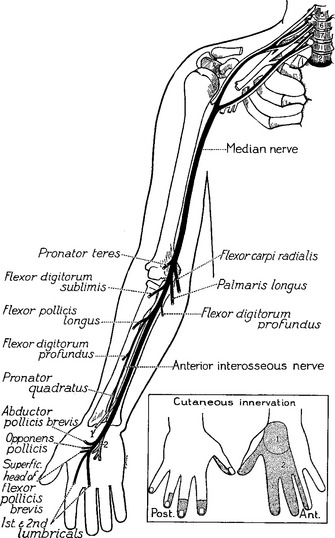 Case 14 | Thoracic Key