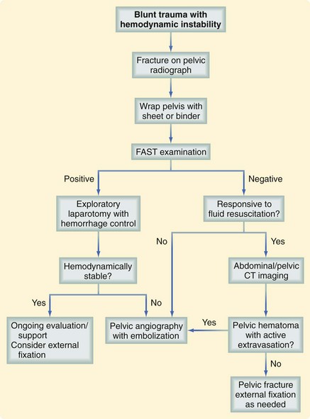 Management Of Acute Trauma | Thoracic Key