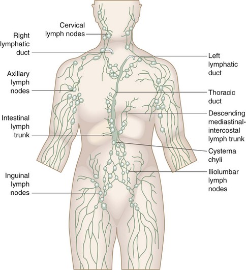 limfatic corporal i varicoza