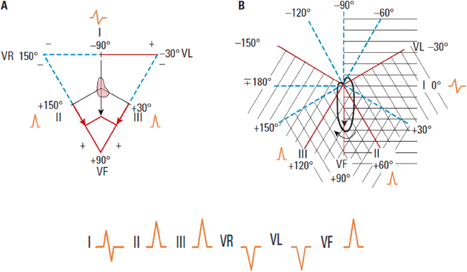 c4-fig-0015