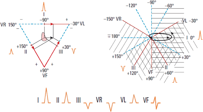 c4-fig-0016