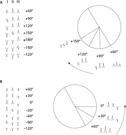 c4-fig-0017