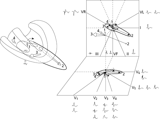 c7-fig-0002