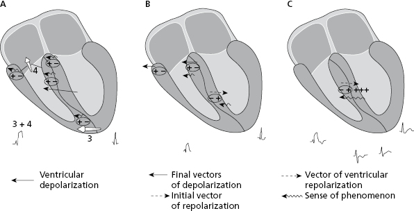 c7-fig-0003