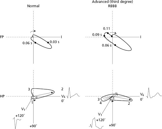 c7-fig-0004