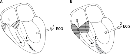 c7-fig-0006