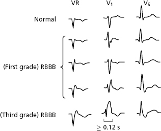 c7-fig-0008