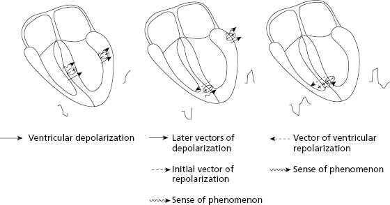 c7-fig-0012