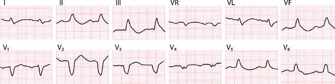 c7-fig-0014