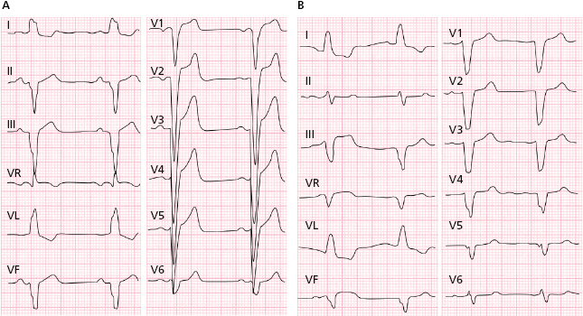 c7-fig-0015