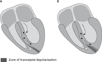 c7-fig-0016