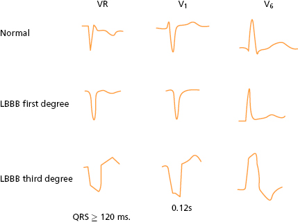 c7-fig-0018