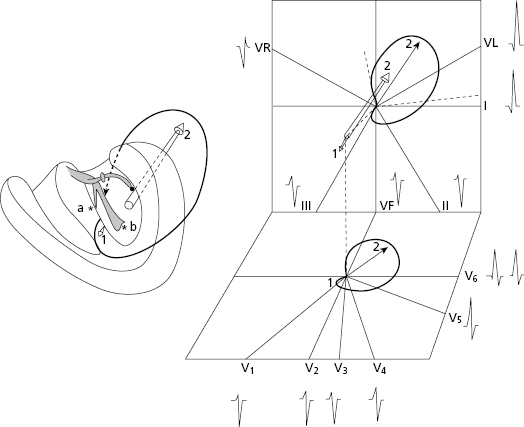 c7-fig-0020