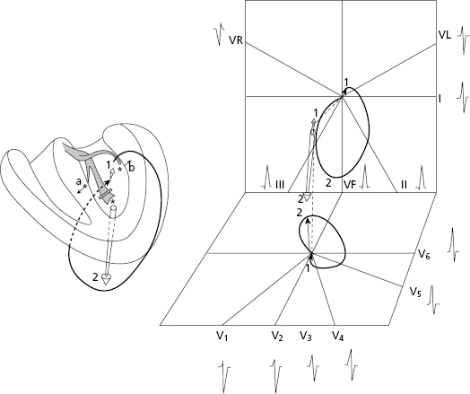 c7-fig-0023