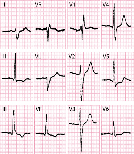 c7-fig-0026