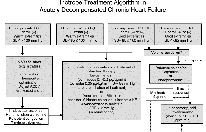 Algorithm of diagnosis of heart failure or left ventricular dysfunction.