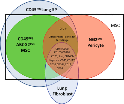 A319957_1_En_12_Fig2_HTML.gif