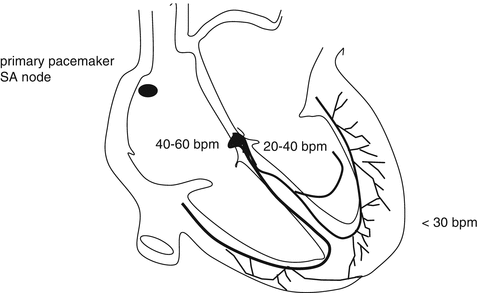 A182916_1_En_5_Fig1_HTML.gif