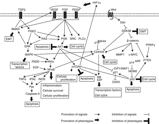 A330619_1_En_14_Fig1_HTML.gif