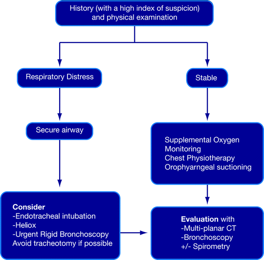 Management Principles of Nonmalignant Airway Obstruction | Thoracic Key