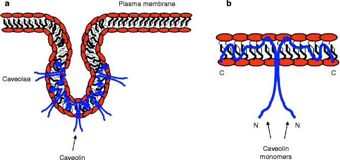 A127647_2_En_18_Fig3_HTML.gif