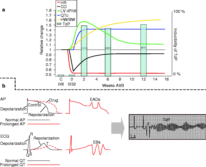 A127647_2_En_23_Fig3_HTML.gif