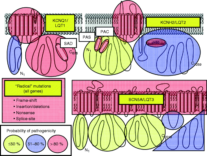 A127647_2_En_27_Fig6_HTML.gif