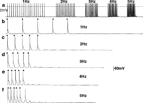 A127647_2_En_31_Fig3_HTML.gif