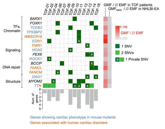 A312028_1_En_32_Fig1_HTML.gif