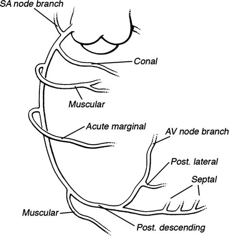 A312028_1_En_43_Fig2_HTML.jpg