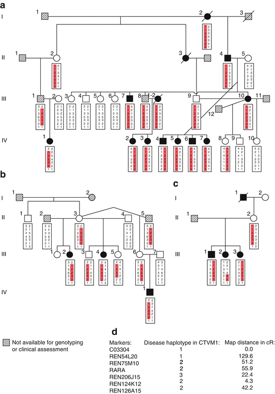 A312028_1_En_54_Fig3_HTML.gif