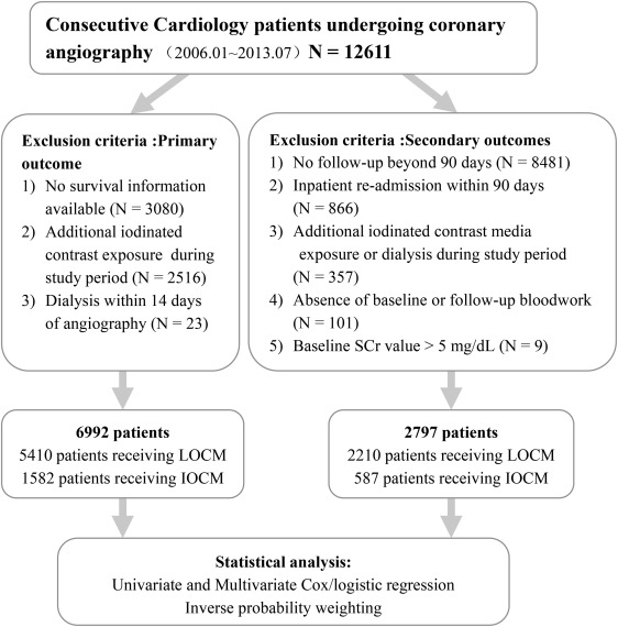 Contrast Media with and without Calcium for Cardioangiography in