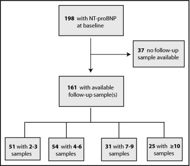 Usefulness Of Serial N-Terminal Pro–B-Type Natriuretic Peptide ...