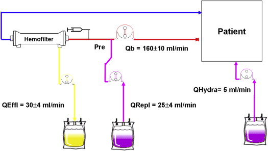 Continuous Venovenous Hemodialysis