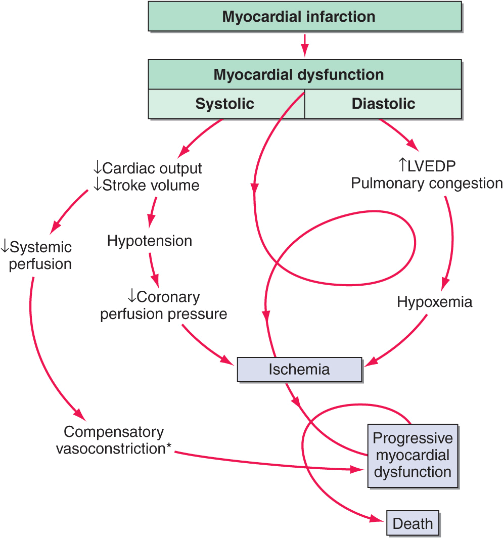 diagram-pulmonary-edema-diagram-mydiagram-online