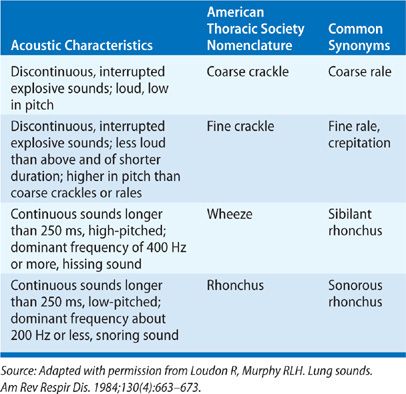 coarse lung sounds