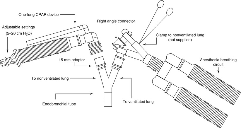 A306112_1_En_2_Fig2_HTML.jpg