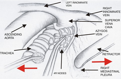 A308478_1_En_10_Fig10_HTML.jpg