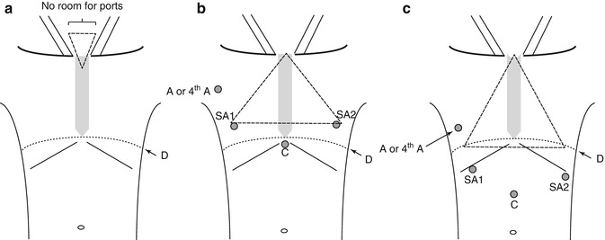 A308478_1_En_20_Fig2_HTML.jpg