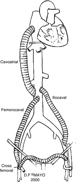 A316804_1_En_16_Fig7_HTML.jpg