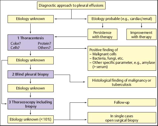 Indications for and Results of Medical Thoracoscopy Pleuroscopy