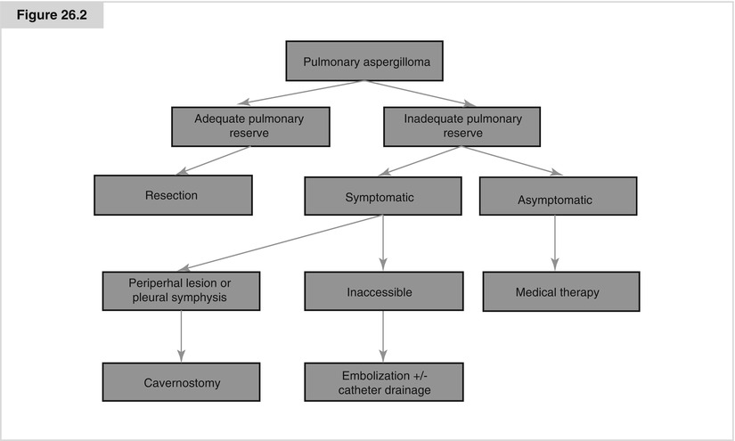 A194303_1_En_26_Fig2_HTML.jpg